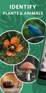 Seek by iNaturalist app screenshot 1