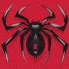 Spider Solitaire app icon