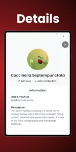 Insect Identifier  app screenshot 11