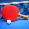 Ping Pong Fury app icon