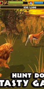 Safari Simulator app screenshot 9