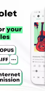 Musicolet Music Player app screenshot 1