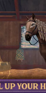 Star Equestrian  app screenshot 29