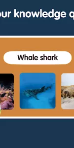 Learn Ocean Animals for kids app screenshot 24