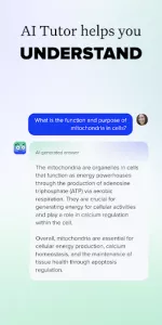 Brainly app screenshot 2