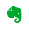 Evernote  app icon
