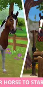 Star Stable Horses app screenshot 14