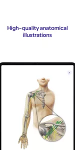 Daily Anatomy Flashcards app screenshot 10