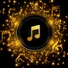 Pi Music Player app icon