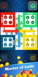 Ludo Master app screenshot 6