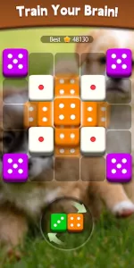 Dice Puzzle  app screenshot 4