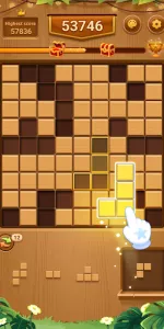 Wood Block Puzzle app screenshot 10