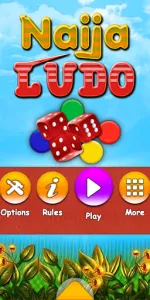 Naija Ludo app screenshot 12