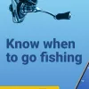 Compare Fishing Points  with Other Sports Apps | Features & More