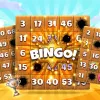 Compare Bingo Showdown  with Other Games Apps | Features & More