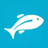 Fishbox  app icon