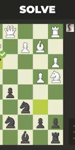 Chess  app screenshot 11