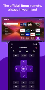 The Roku App  app screenshot 1