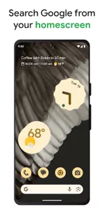 Google app screenshot 5