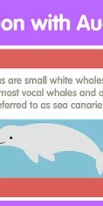 Learn Ocean Animals for kids app screenshot 13