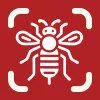Insect Identifier  app icon