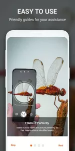 Insect identifier by Photo Cam app screenshot 4