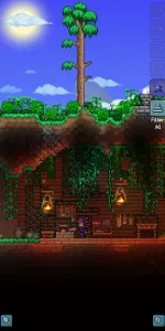 Terraria app screenshot 14