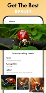 Insect Identifier Bug Identify app screenshot 15