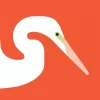 Audubon Bird Guide app icon