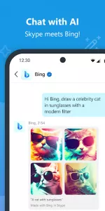 Skype app screenshot 2