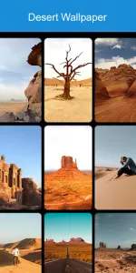 Desert Wallpaper 2024 app screenshot 8