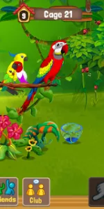 Bird Land app screenshot 4