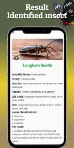 AI Insect & Bug Identifier App app screenshot 4