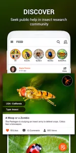 Insect identifier by Photo Cam app screenshot 15