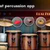 Learn How to Use Real Percussion | A Guide for Games Enthusiasts