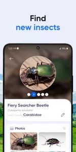 Bug ID app screenshot 4