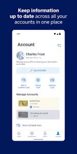 Amex app screenshot 2