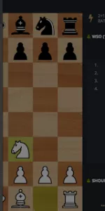 lichess  app screenshot 15