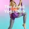 AerialYoga360 - Top Health & Fitness App by Aerial Yoga | 4.4 Stars