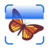 InsectAI  app icon