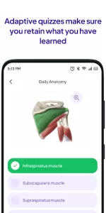 Daily Anatomy Flashcards app screenshot 4