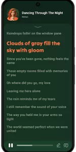 Lark Player app screenshot 4