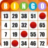 Absolute Bingo app icon