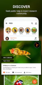 Insect identifier by Photo Cam app screenshot 2