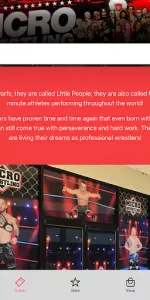 Micro Wrestling app screenshot 6