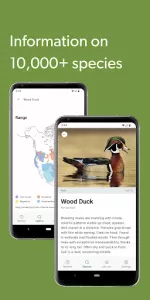 Merlin Bird ID by Cornell Lab app screenshot 8