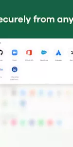 Island Enterprise Browser app screenshot 5