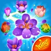 Blossom Blast Saga app icon