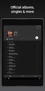 YouTube Music app screenshot 5