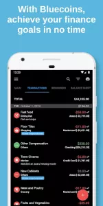 Bluecoins Finance & Budget app screenshot 2